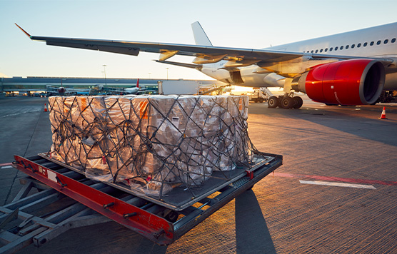 深圳市袋熊国际物流的运输服务